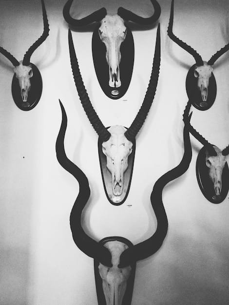 A collage featuring various symbols often found in dramas, such as a skull (representing mortality), a key (representing secrets), a mask (representing deception), and a rose (representing love or beauty).